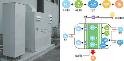 燃料電池